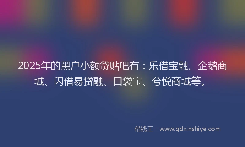 2025年的黑户小额贷贴吧有：乐借宝融、企鹅商城、闪借易贷融、口袋宝、兮悦商城等。