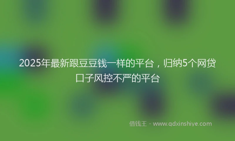2025年最新跟豆豆钱一样的平台，归纳5个网贷口子风控不严的平台