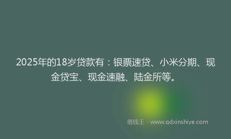 2025年的18岁贷款有：银票速贷、小米分期、现金贷宝、现金速融、陆金所等。