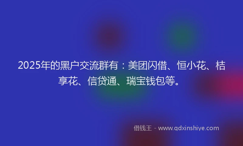 2025年的黑户交流群有：美团闪借、恒小花、桔享花、信贷通、瑞宝钱包等。