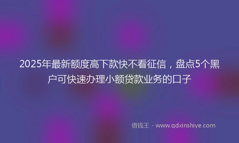 2025年最新额度高下款快不看征信，盘点5个黑户可快速办理小额贷款业务的口子