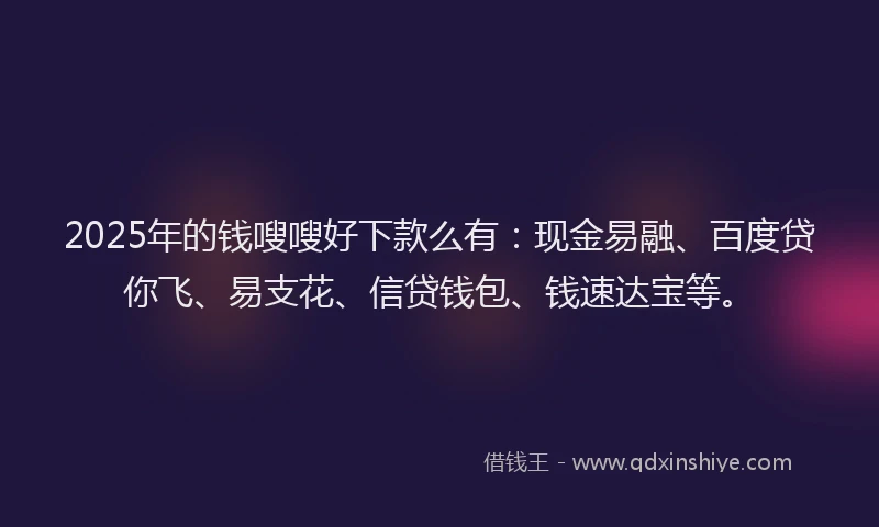 2025年的钱嗖嗖好下款么有：现金易融、百度贷你飞、易支花、信贷钱包、钱速达宝等。