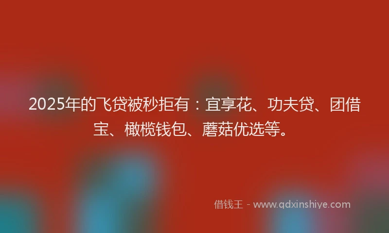 2025年的飞贷被秒拒有：宜享花、功夫贷、团借宝、橄榄钱包、蘑菇优选等。