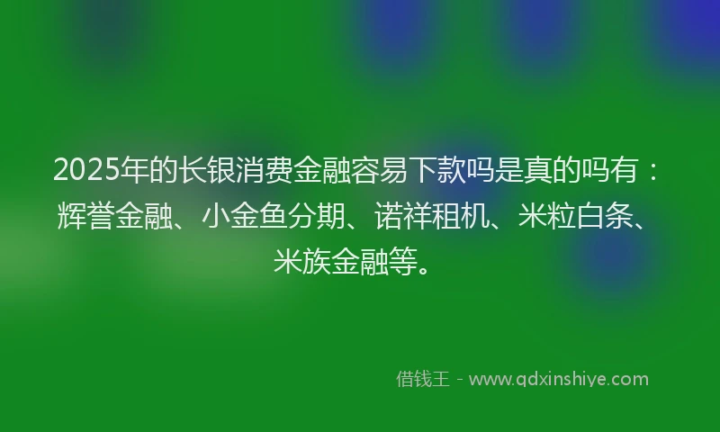 2025年的长银消费金融容易下款吗是真的吗有：辉誉金融、小金鱼分期、诺祥租机、米粒白条、米族金融等。