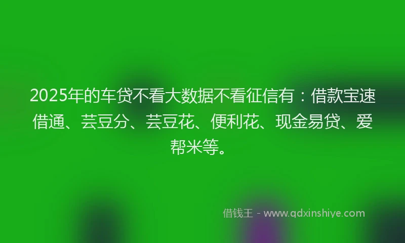 2025年的车贷不看大数据不看征信有：借款宝速借通、芸豆分、芸豆花、便利花、现金易贷、爱帮米等。