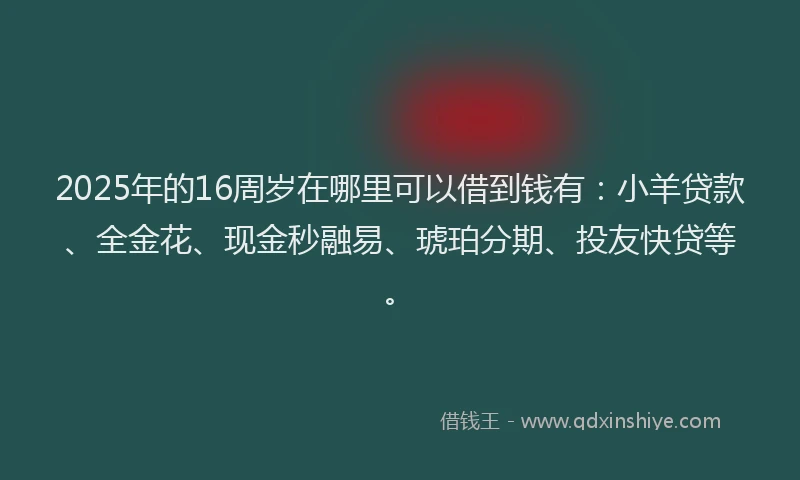 2025年的16周岁在哪里可以借到钱有：小羊贷款、全金花、现金秒融易、琥珀分期、投友快贷等。