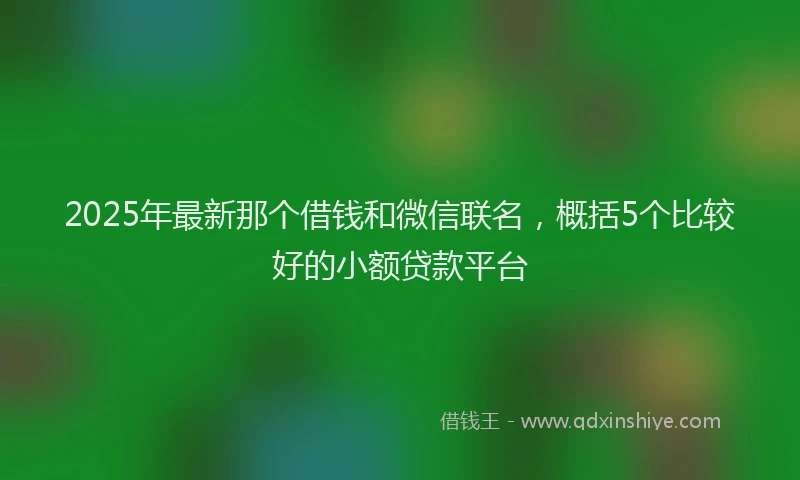 2025年最新那个借钱和微信联名，概括5个比较好的小额贷款平台