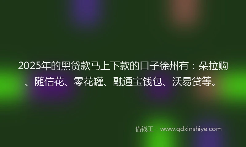 2025年的黑贷款马上下款的口子徐州有：朵拉购、随信花、零花罐、融通宝钱包、沃易贷等。