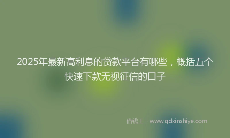2025年最新高利息的贷款平台有哪些，概括五个快速下款无视征信的口子