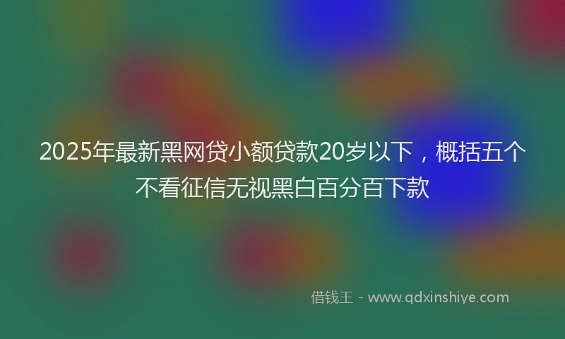 2025年最新黑网贷小额贷款20岁以下，概括五个不看征信无视黑白百分百下款