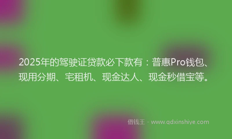 2025年的驾驶证贷款必下款有：普惠Pro钱包、现用分期、宅租机、现金达人、现金秒借宝等。