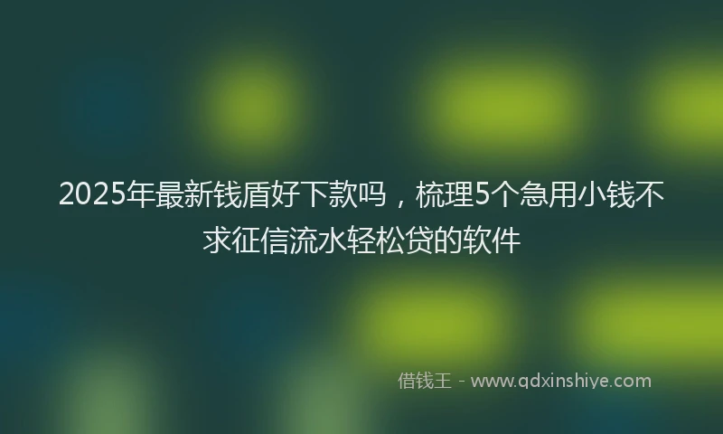 2025年最新钱盾好下款吗，梳理5个急用小钱不求征信流水轻松贷的软件