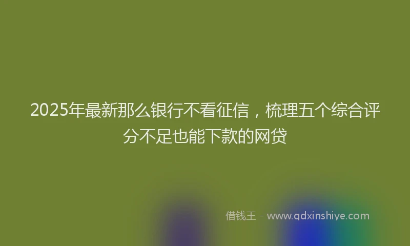 2025年最新那么银行不看征信，梳理五个综合评分不足也能下款的网贷