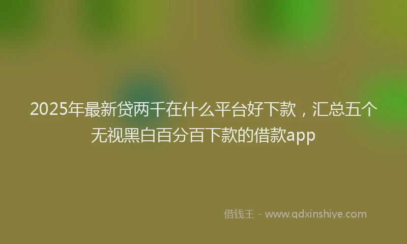 2025年最新贷两千在什么平台好下款，汇总五个无视黑白百分百下款的借款app