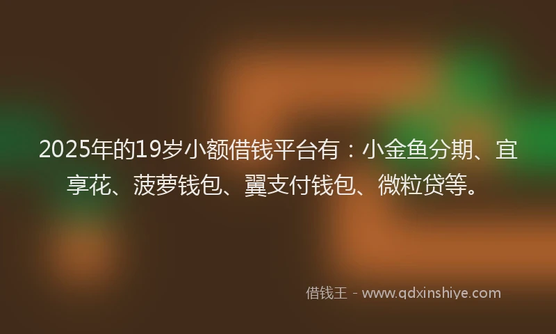 2025年的19岁小额借钱平台有：小金鱼分期、宜享花、菠萝钱包、翼支付钱包、微粒贷等。