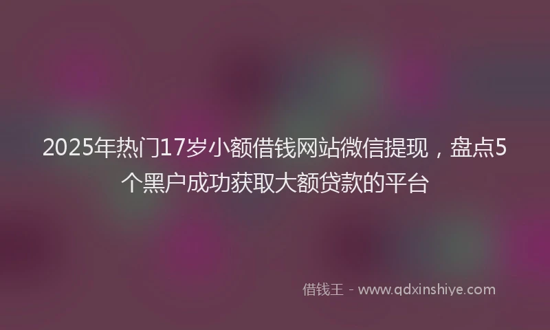 2025年热门17岁小额借钱网站微信提现，盘点5个黑户成功获取大额贷款的平台