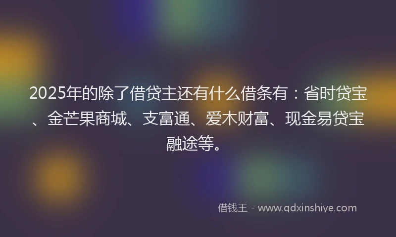 2025年的除了借贷主还有什么借条有：省时贷宝、金芒果商城、支富通、爱木财富、现金易贷宝融途等。