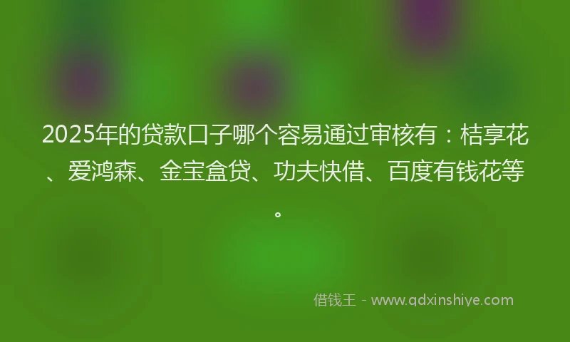 2025年的贷款口子哪个容易通过审核有：桔享花、爱鸿森、金宝盒贷、功夫快借、百度有钱花等。