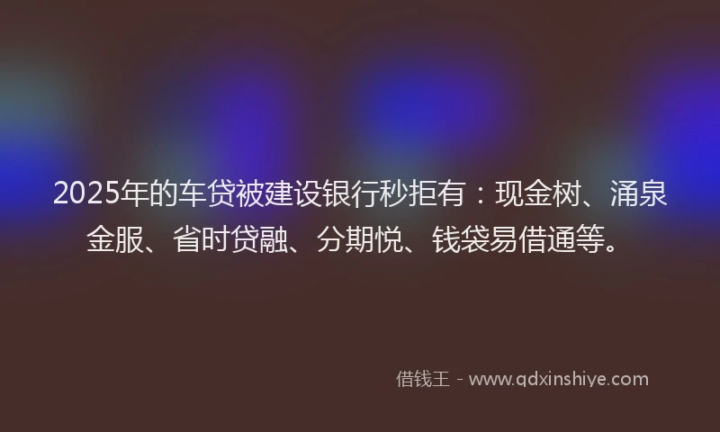 2025年的车贷被建设银行秒拒有：现金树、涌泉金服、省时贷融、分期悦、钱袋易借通等。