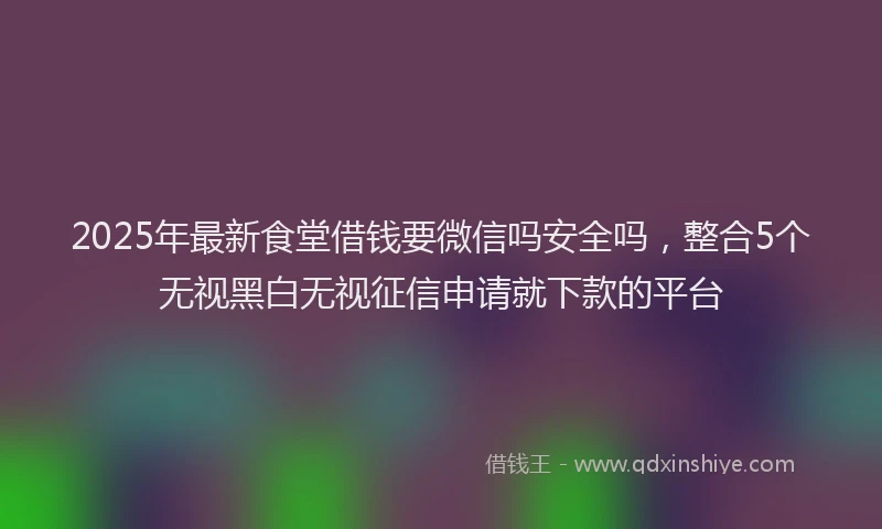 2025年最新食堂借钱要微信吗安全吗，整合5个无视黑白无视征信申请就下款的平台