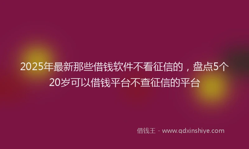 2025年最新那些借钱软件不看征信的，盘点5个20岁可以借钱平台不查征信的平台