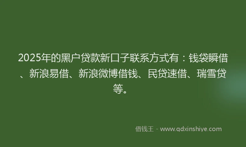 2025年的黑户贷款新口子联系方式有：钱袋瞬借、新浪易借、新浪微博借钱、民贷速借、瑞雪贷等。