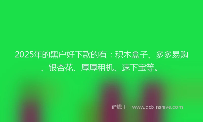 2025年的黑户好下款的有：积木盒子、多多易购、银杏花、厚厚租机、速下宝等。