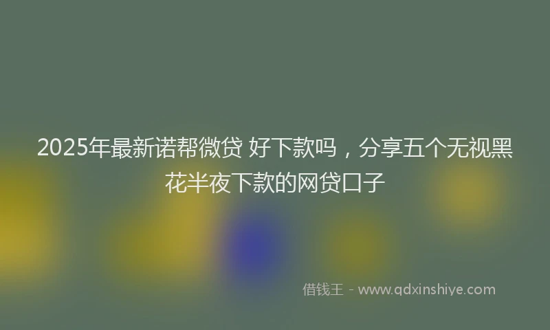 2025年最新诺帮微贷 好下款吗，分享五个无视黑花半夜下款的网贷口子