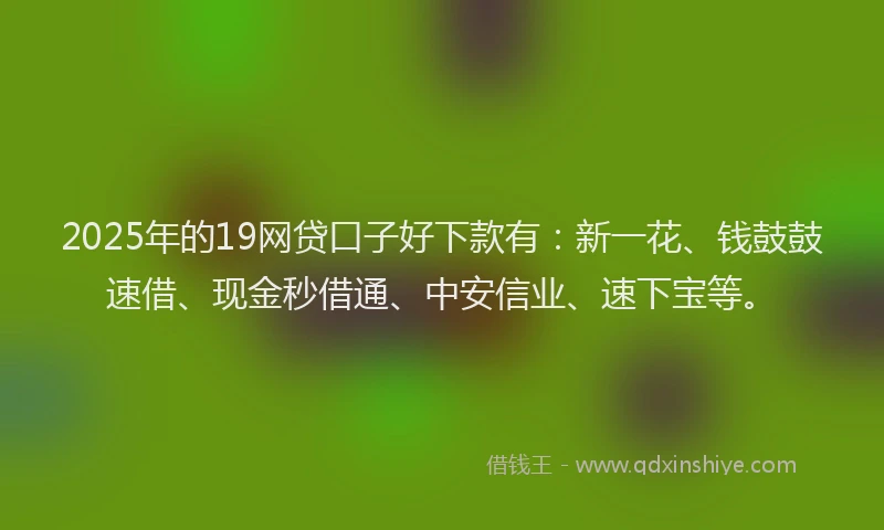 2025年的19网贷口子好下款有：新一花、钱鼓鼓速借、现金秒借通、中安信业、速下宝等。