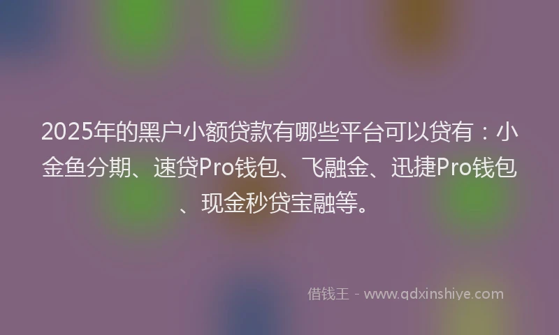 2025年的黑户小额贷款有哪些平台可以贷有：小金鱼分期、速贷Pro钱包、飞融金、迅捷Pro钱包、现金秒贷宝融等。
