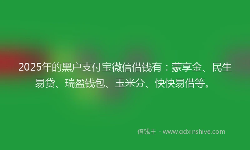 2025年的黑户支付宝微信借钱有：蒙享金、民生易贷、瑞盈钱包、玉米分、快快易借等。