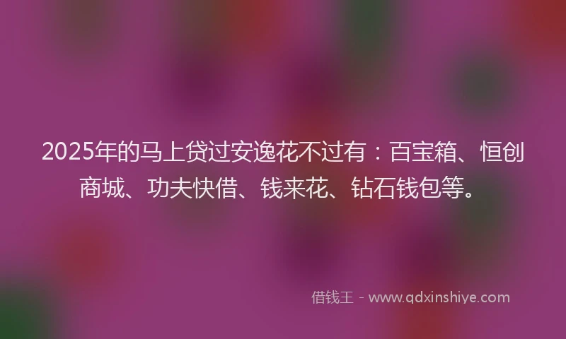 2025年的马上贷过安逸花不过有：百宝箱、恒创商城、功夫快借、钱来花、钻石钱包等。
