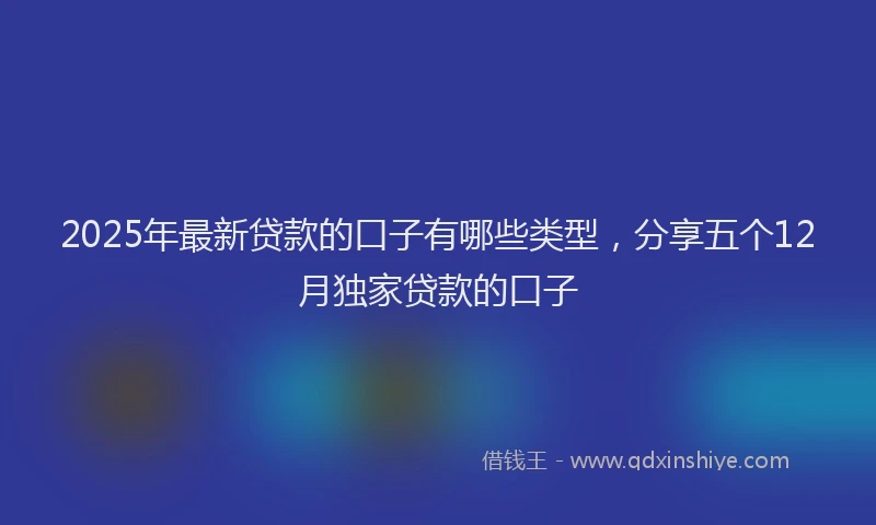 2025年最新贷款的口子有哪些类型，分享五个12月独家贷款的口子