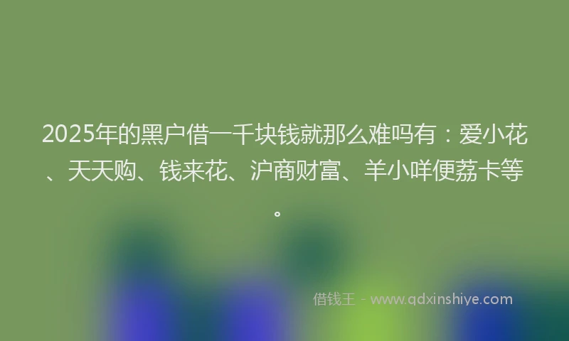2025年的黑户借一千块钱就那么难吗有：爱小花、天天购、钱来花、沪商财富、羊小咩便荔卡等。