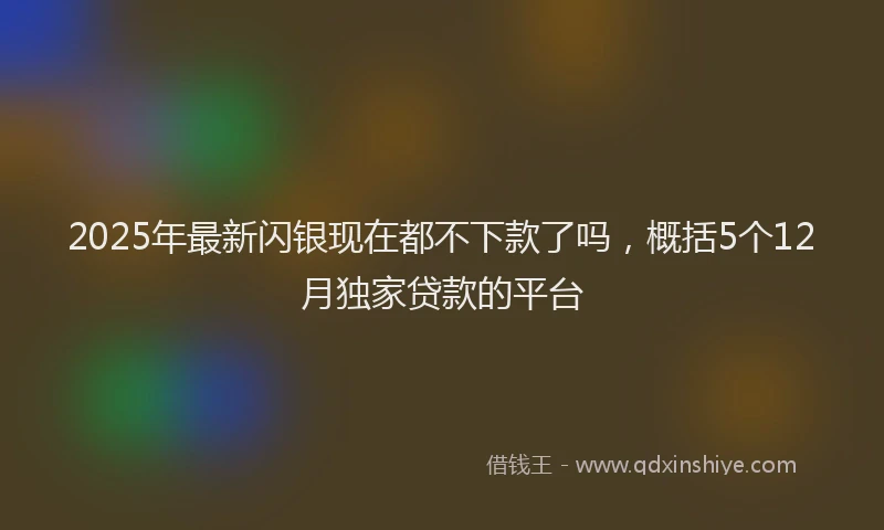 2025年最新闪银现在都不下款了吗，概括5个12月独家贷款的平台