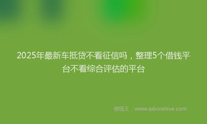 2025年最新车抵贷不看征信吗，整理5个借钱平台不看综合评估的平台