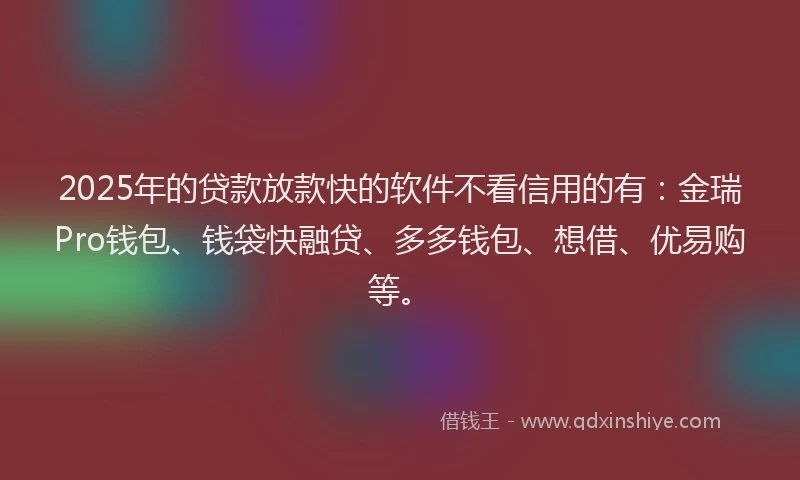 2025年的贷款放款快的软件不看信用的有：金瑞Pro钱包、钱袋快融贷、多多钱包、想借、优易购等。