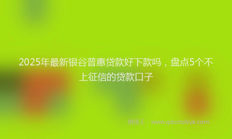 2025年最新银谷普惠贷款好下款吗，盘点5个不上征信的贷款口子