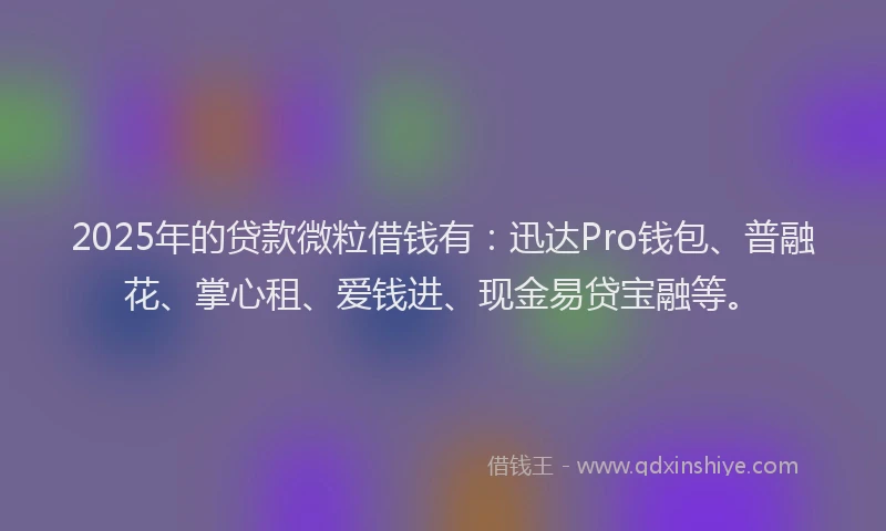 2025年的贷款微粒借钱有：迅达Pro钱包、普融花、掌心租、爱钱进、现金易贷宝融等。