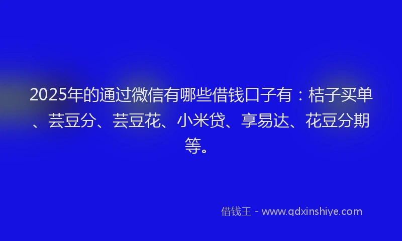 2025年的通过微信有哪些借钱口子有：桔子买单、芸豆分、芸豆花、小米贷、享易达、花豆分期等。