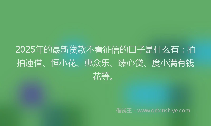 2025年的最新贷款不看征信的口子是什么有：拍拍速借、恒小花、惠众乐、臻心贷、度小满有钱花等。