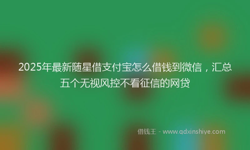 2025年最新随星借支付宝怎么借钱到微信，汇总五个无视风控不看征信的网贷
