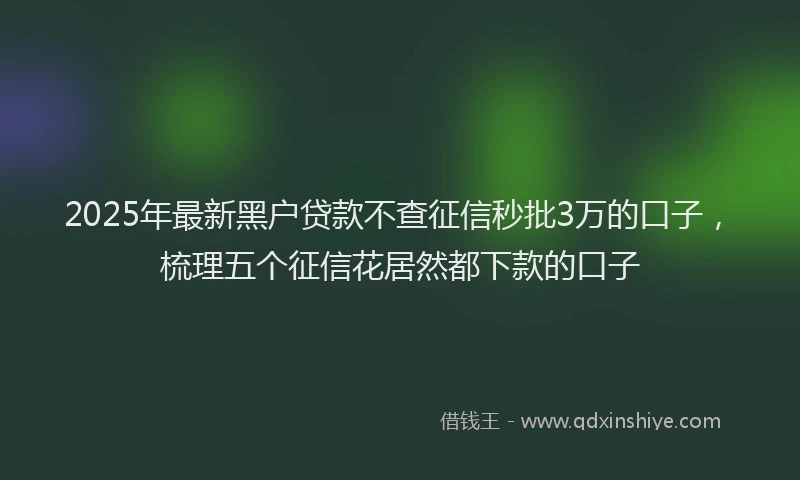 2025年最新黑户贷款不查征信秒批3万的口子，梳理五个征信花居然都下款的口子