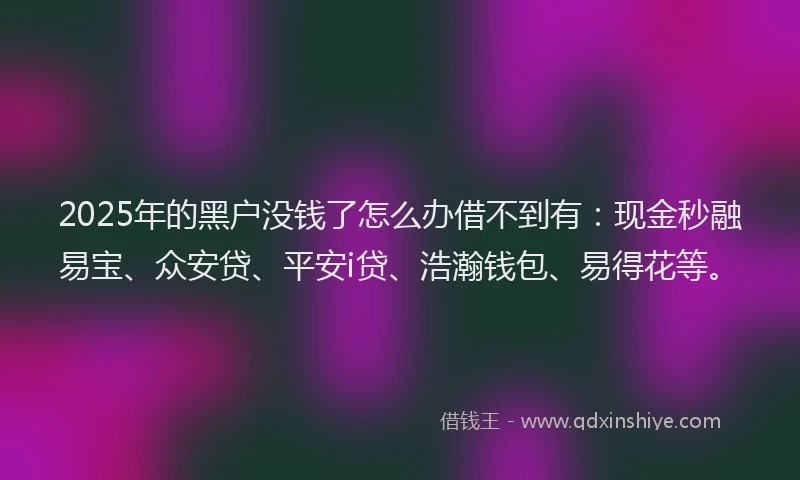 2025年的黑户没钱了怎么办借不到有：现金秒融易宝、众安贷、平安i贷、浩瀚钱包、易得花等。