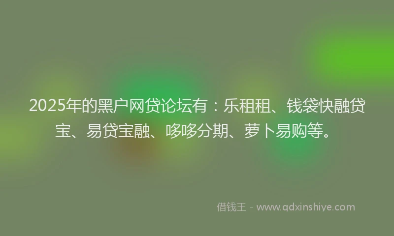 2025年的黑户网贷论坛有：乐租租、钱袋快融贷宝、易贷宝融、哆哆分期、萝卜易购等。