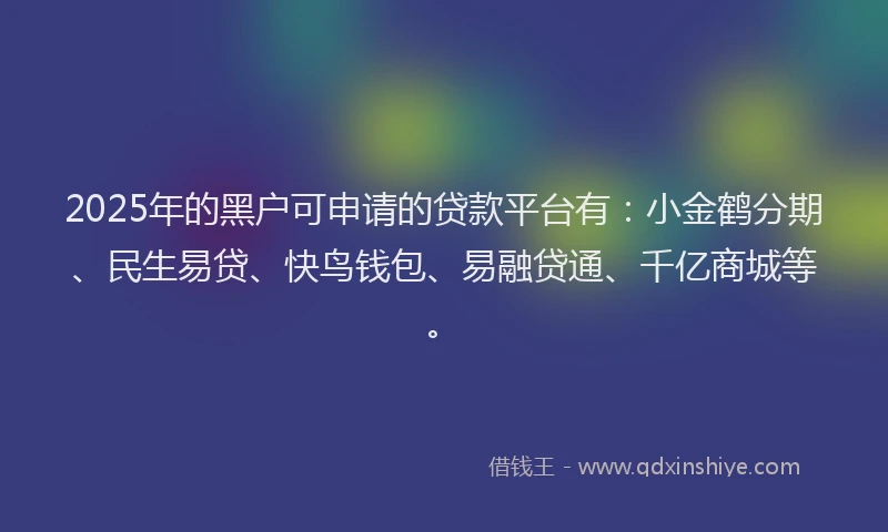 2025年的黑户可申请的贷款平台有：小金鹤分期、民生易贷、快鸟钱包、易融贷通、千亿商城等。