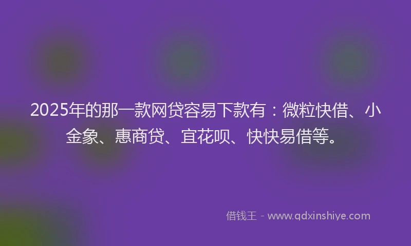 2025年的那一款网贷容易下款有：微粒快借、小金象、惠商贷、宜花呗、快快易借等。