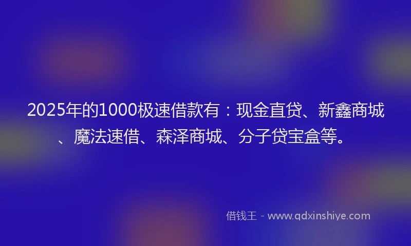 2025年的1000极速借款有：现金直贷、新鑫商城、魔法速借、森泽商城、分子贷宝盒等。