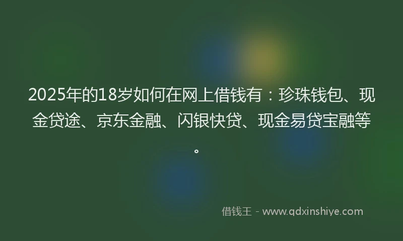 2025年的18岁如何在网上借钱有：珍珠钱包、现金贷途、京东金融、闪银快贷、现金易贷宝融等。