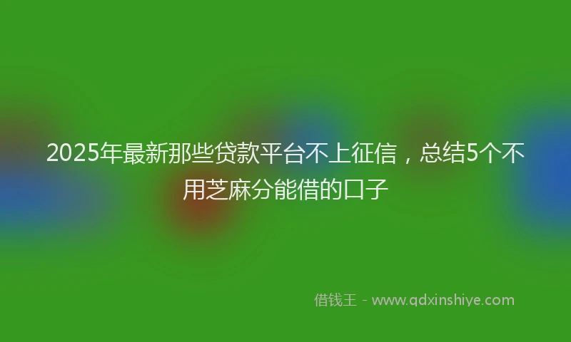 2025年最新那些贷款平台不上征信，总结5个不用芝麻分能借的口子